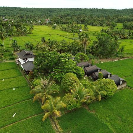 Gino'S Place - Guest House & Jungle Trekking Букит-Лаванг Экстерьер фото