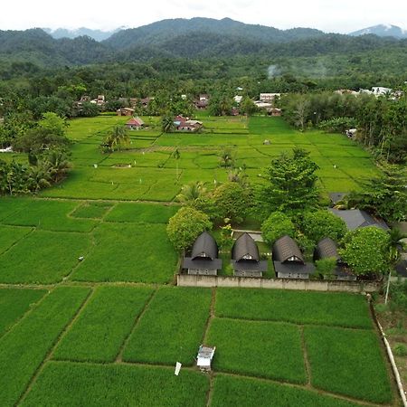 Gino'S Place - Guest House & Jungle Trekking Букит-Лаванг Экстерьер фото