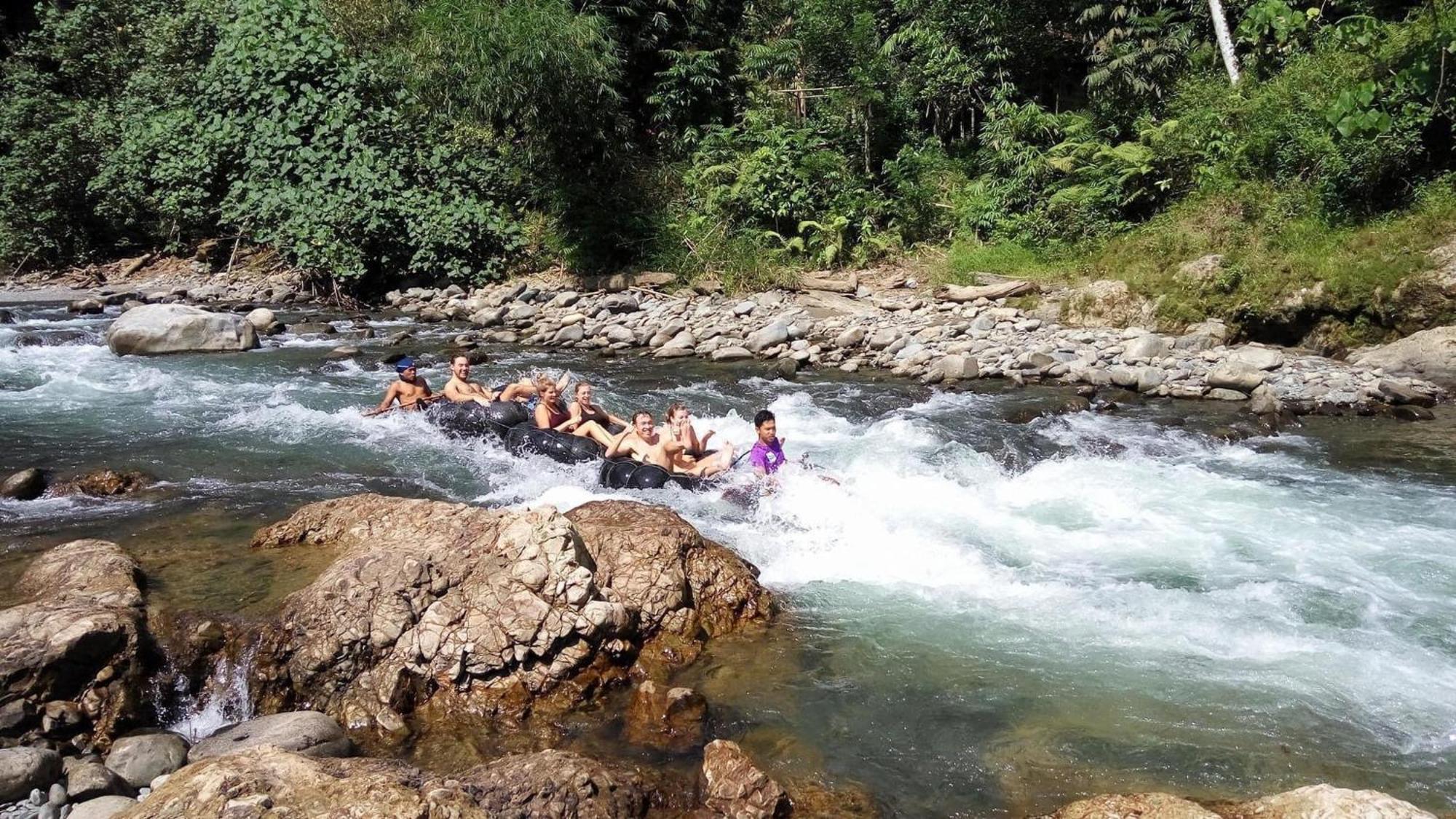 Gino'S Place - Guest House & Jungle Trekking Букит-Лаванг Экстерьер фото