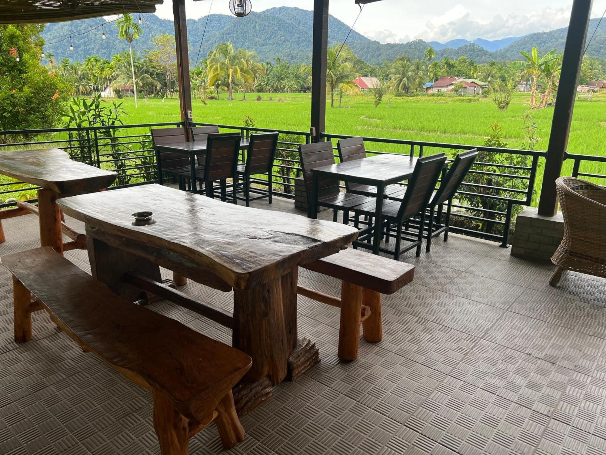 Gino'S Place - Guest House & Jungle Trekking Букит-Лаванг Экстерьер фото