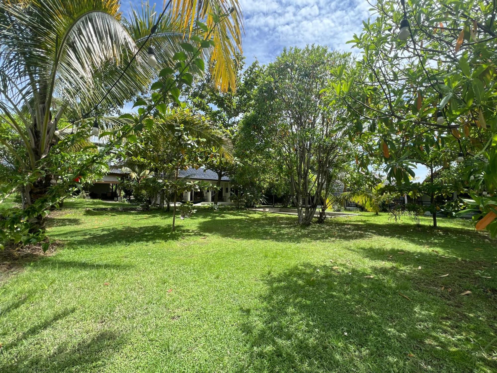 Gino'S Place - Guest House & Jungle Trekking Букит-Лаванг Экстерьер фото