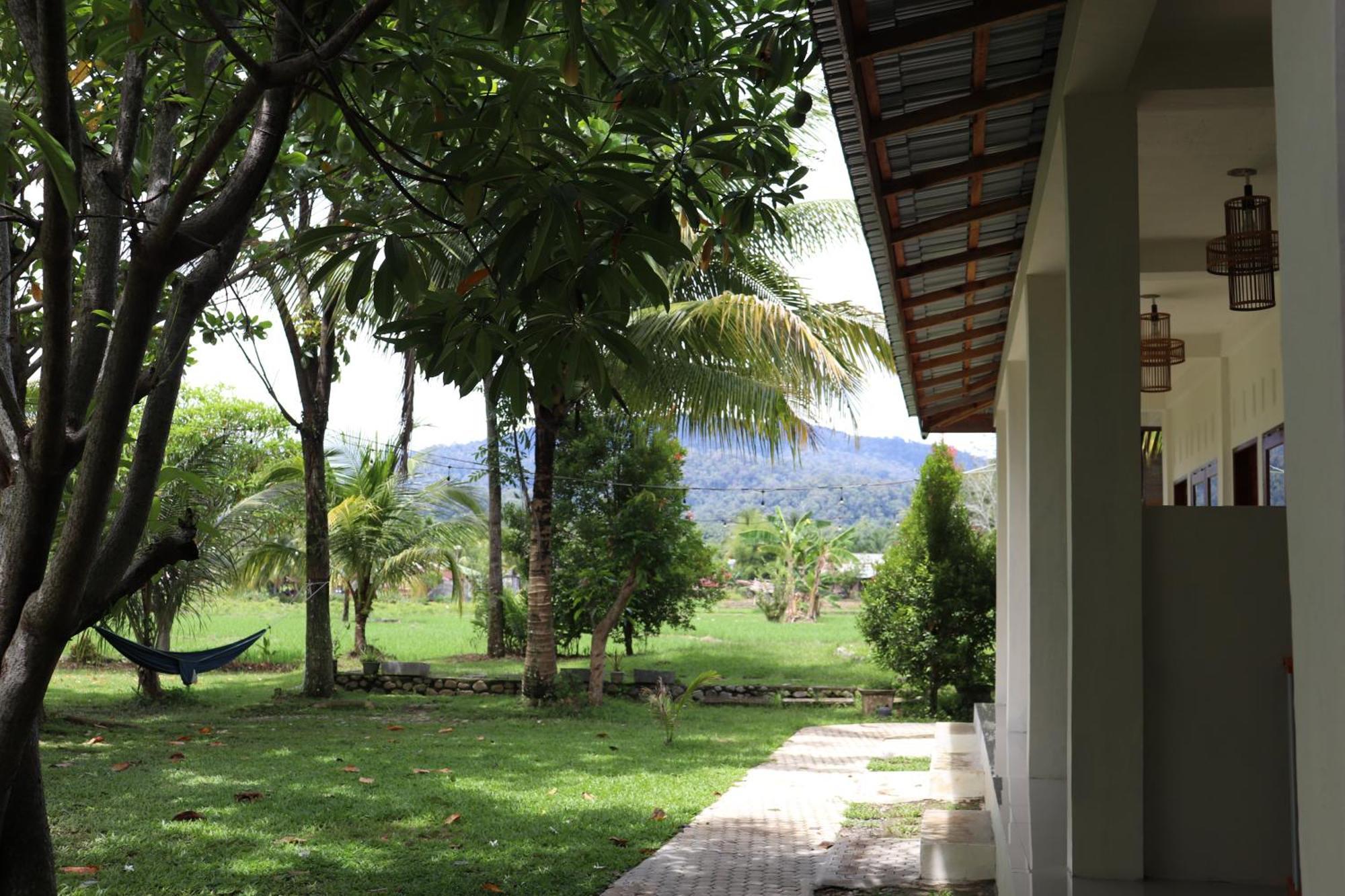 Gino'S Place - Guest House & Jungle Trekking Букит-Лаванг Экстерьер фото
