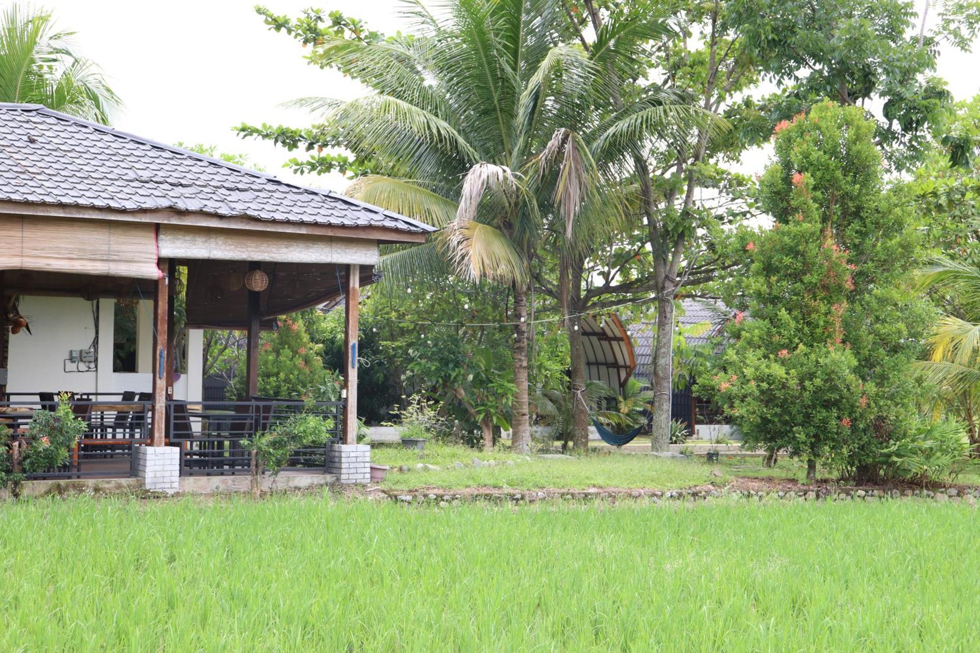 Gino'S Place - Guest House & Jungle Trekking Букит-Лаванг Экстерьер фото