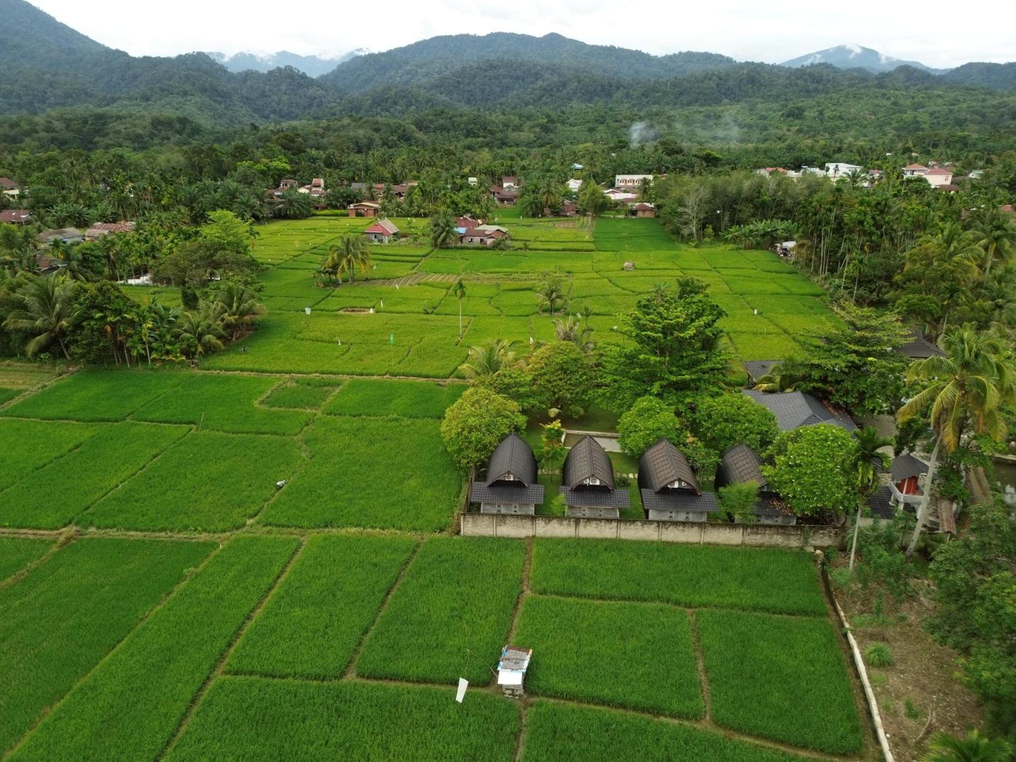 Gino'S Place - Guest House & Jungle Trekking Букит-Лаванг Экстерьер фото